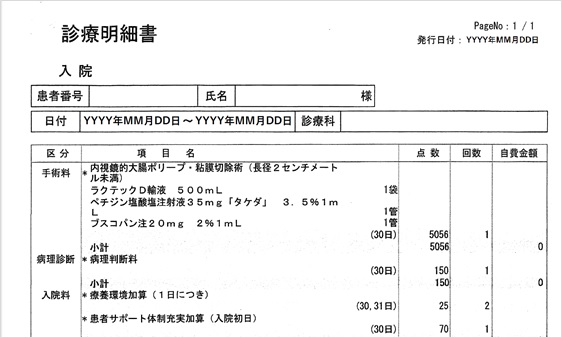 はなさく生命　診療明細書