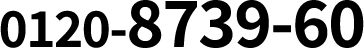 0120-8739-60