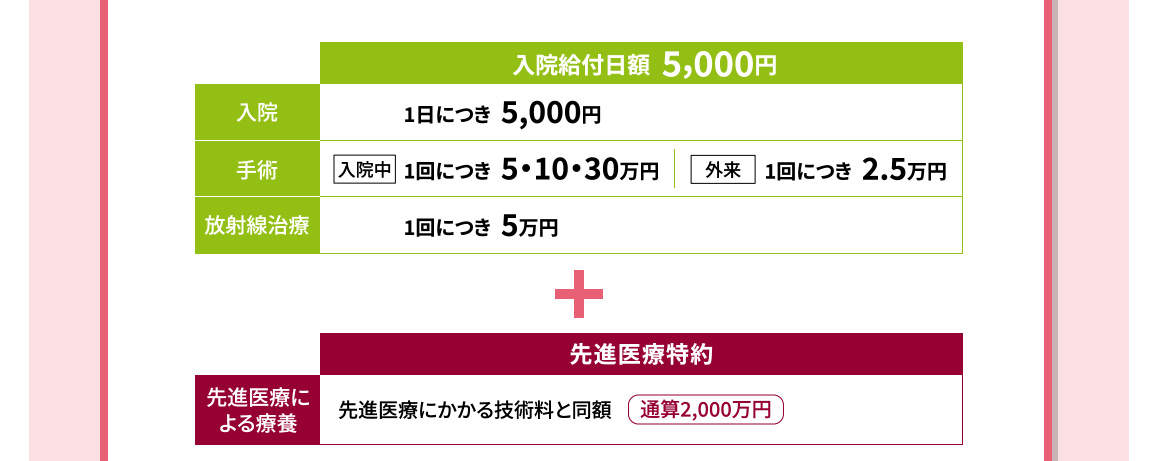 入院給付日額5,000円+先進医療特約