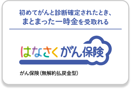 初めてがんと診断確定されたとき、まとまった一時金を受取れる はなさくがん保険 がん保険（無解約払戻金型）