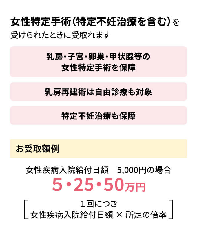 女性特定手術(特定不妊治療を含む)を受けられたときに受取れます 乳房・子宮・卵巣・甲状腺等の女性特定手術を保障 乳房再建術は自由診療も対象 特定不妊治療も保障 お受取額例 女性疾病入院給付日額5,000円の場合 5・25・50万円 1回につき女性疾病入院給付日額 × 所定の倍率