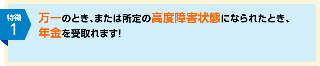 特徴1 万一のとき、または所定の高度障害状態になられたとき、年金を受取れます!