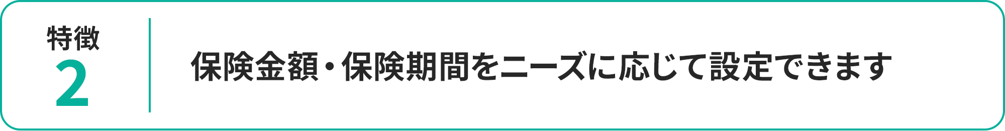 保険金額・保険期間をニーズに応じて設定できます