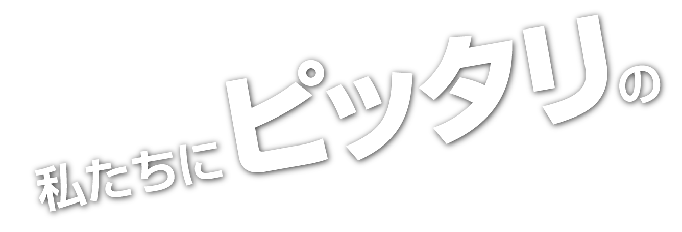 私たちにピッタリの