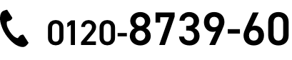 0120-8739-60