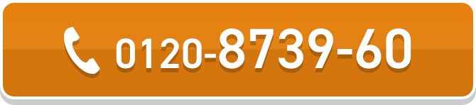 0120-8739-60