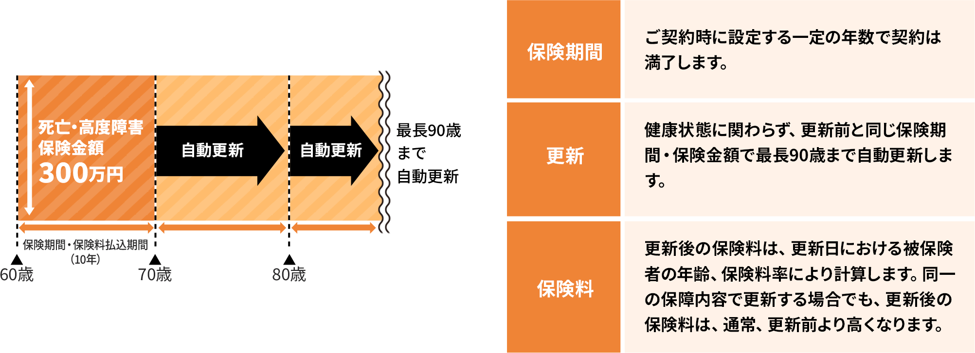 保険期間、更新、保険料、特約についての説明表