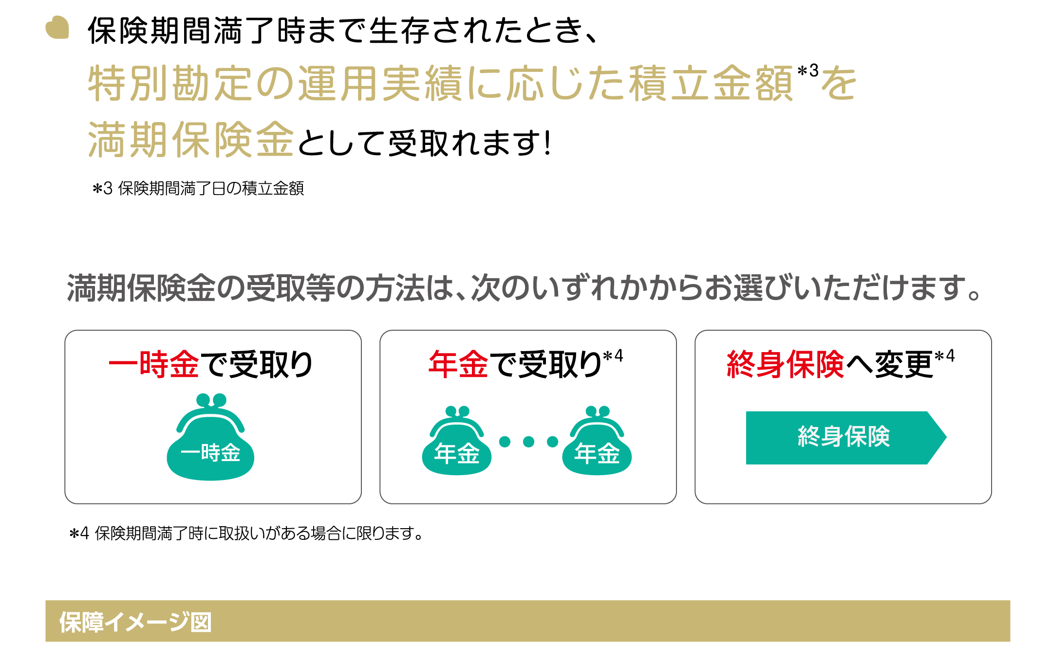 ポイント2 画像