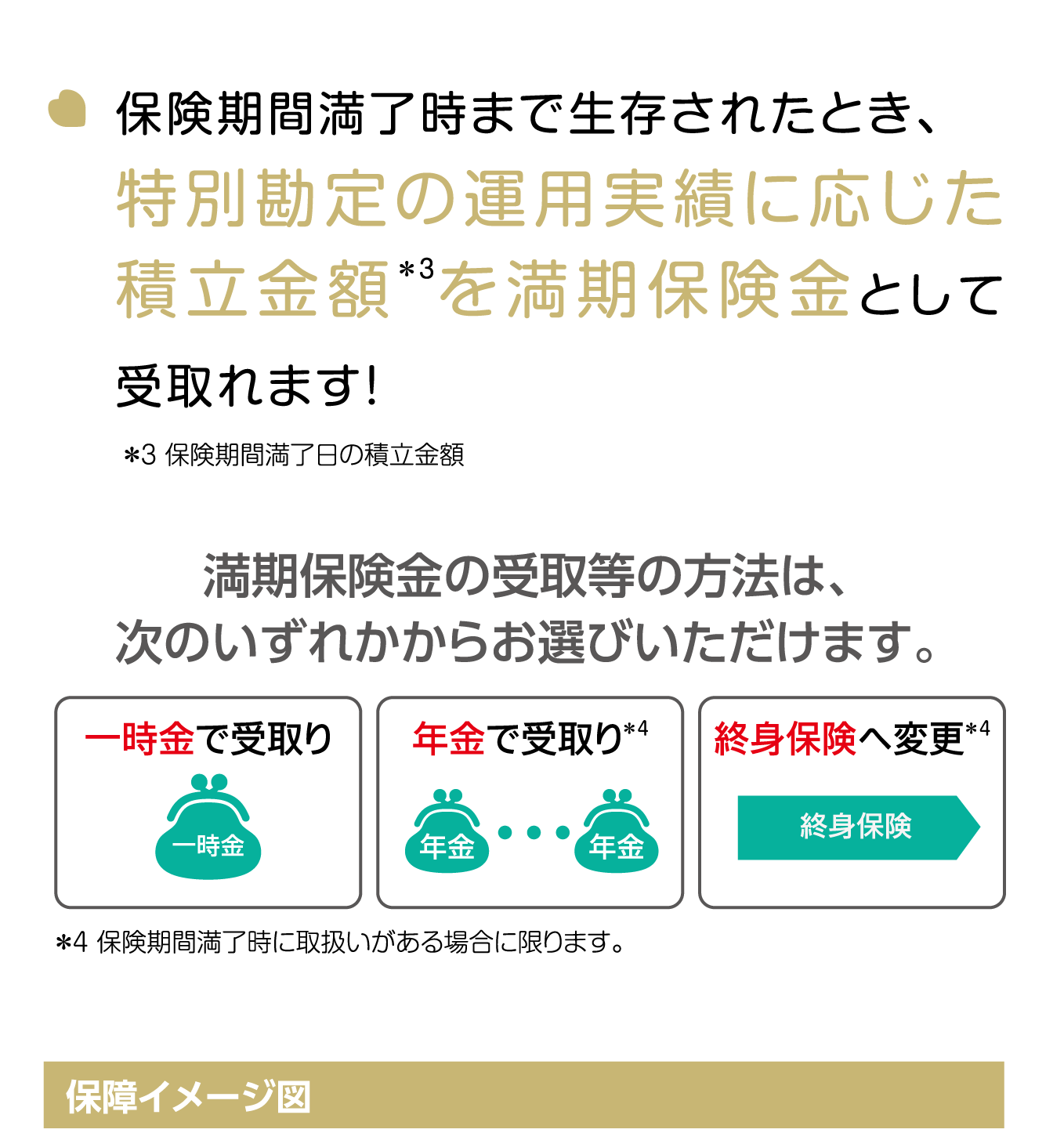 ポイント2 画像