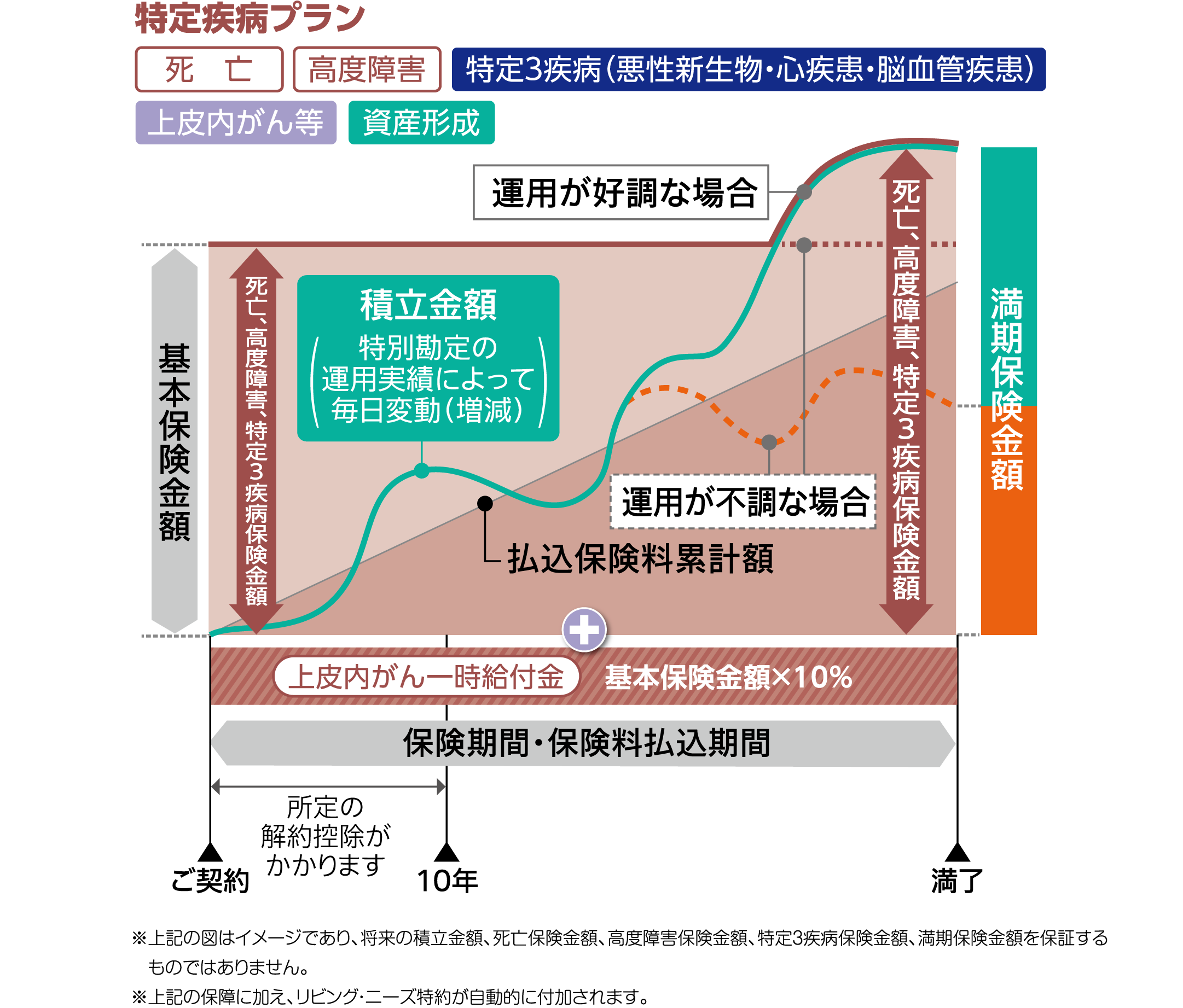 ポイント2 特定疾病プラン画像