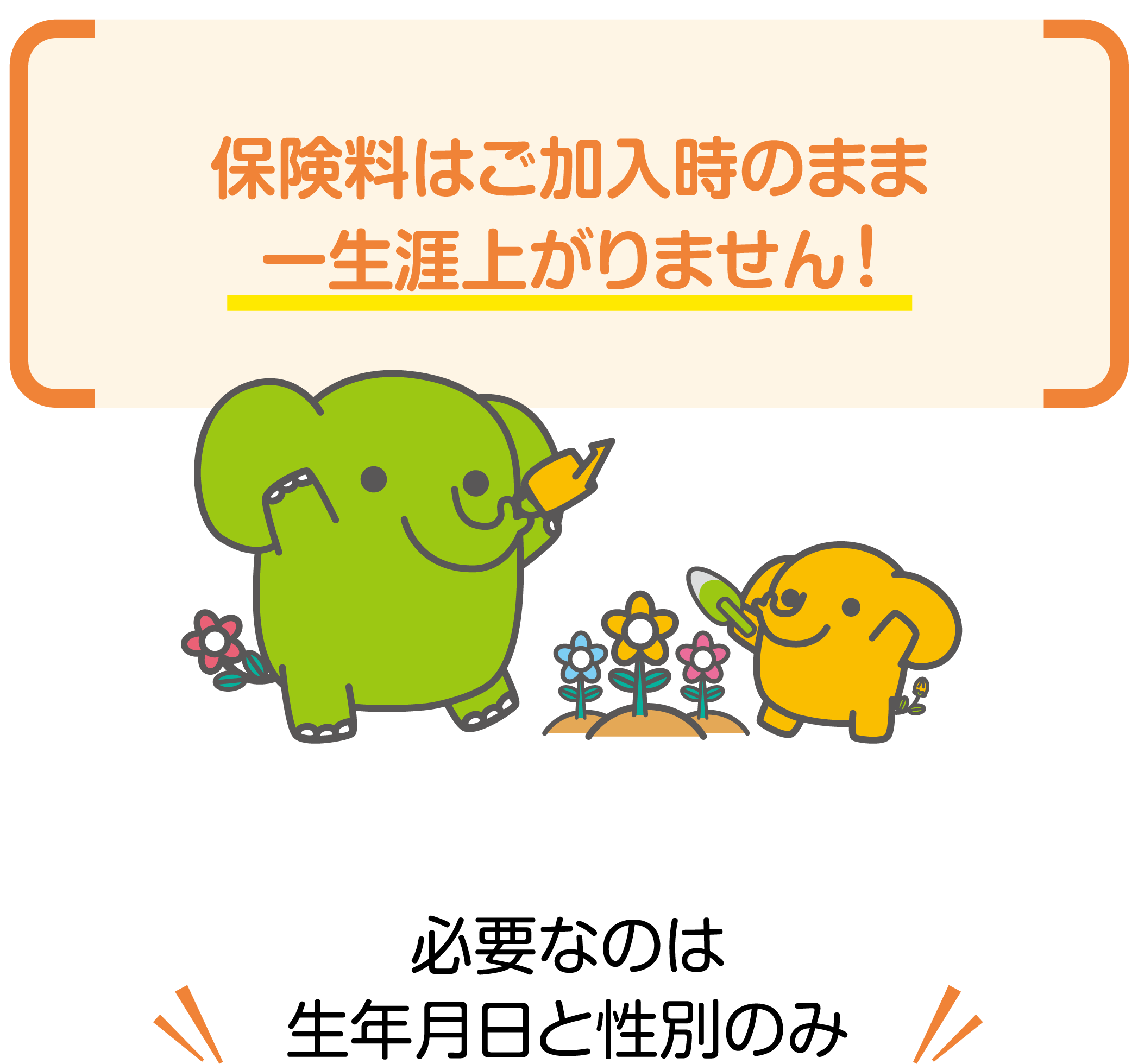 わかりやすいシンプルな保障であなたのニーズにお応えします。