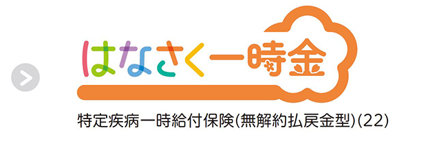 はなさく一時金