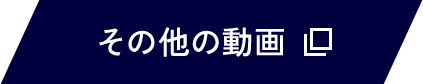 その他の動画（別タブで開く）