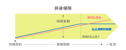 終身保険の払込保険料総額と解約返戻金