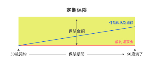 定期保険の払込保険料総額と解約返戻金