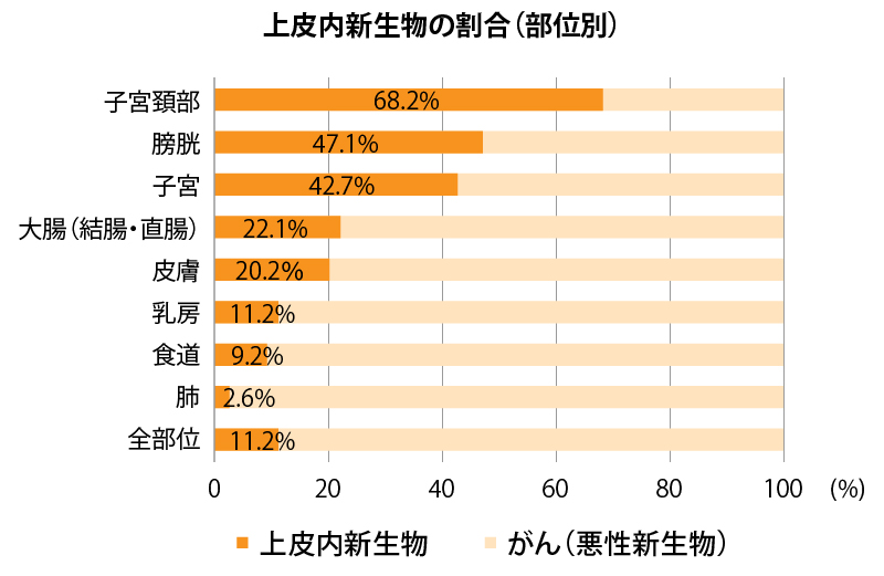 上皮内新生物の割合（部位別）