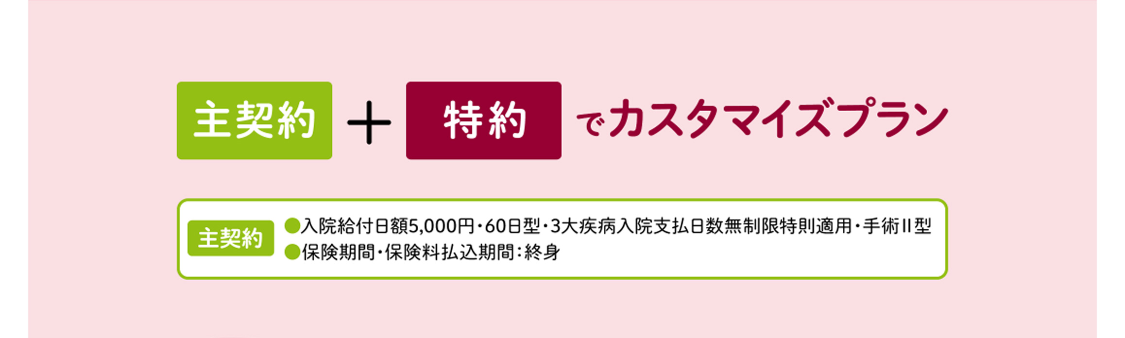 主契約+特約でカスタマイズプラン 主契約 入院給付日額5,000円・60日型・3大疾病入院支払日数無制限特則適用・手術Ⅱ型 保険期間・保険料払込期間:終身
